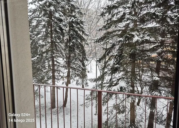 Nel Zabobrze Apartman *